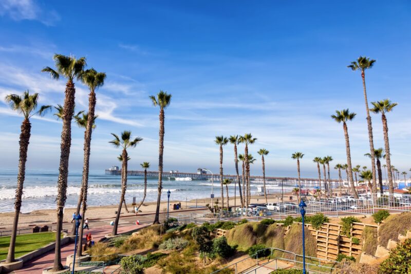 California Oceanside pier with palm trees view
